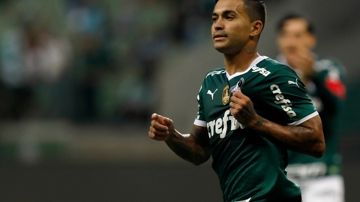 Palmeiras v Fluminense - Brasileirao 2022