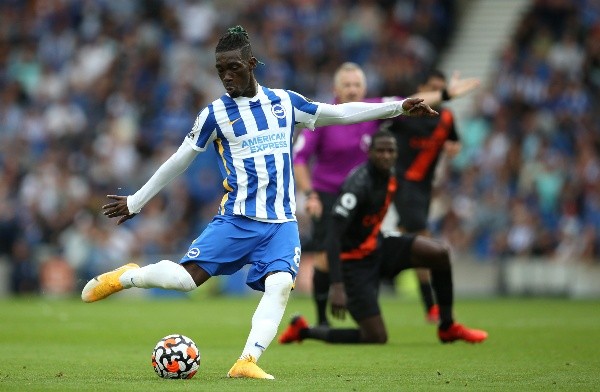 Brighton & Hove Albion v Everton - Premier League