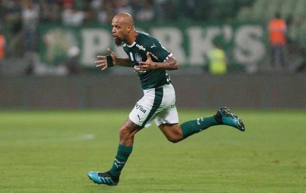 Palmeiras v Chapecoense- Brasileirao Series A 2019