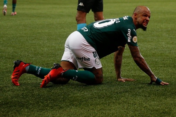 Palmeiras v Sport Recife - Brasileirao 2021