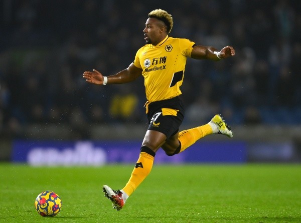 Brighton & Hove Albion v Wolverhampton Wanderers - Premier League