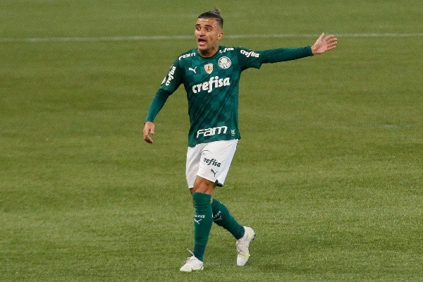 Palmeiras v Fortaleza - Brasileirao 2021